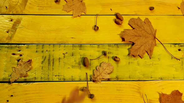 Beautiful Autumn Background With Falling Leaves On A Vintage Yellow Wooden Table.