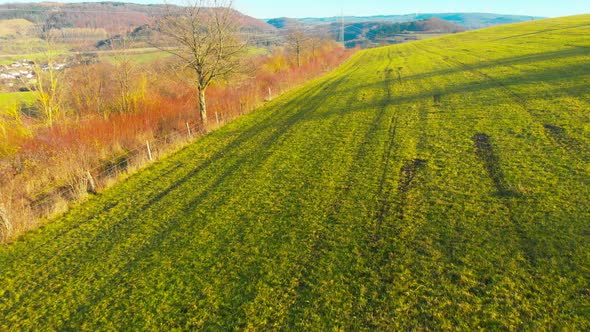 flight along a hiking trail in the fields on a sunny day