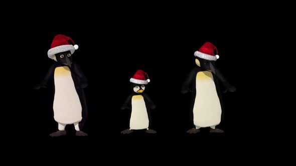 Penguin Family Dance