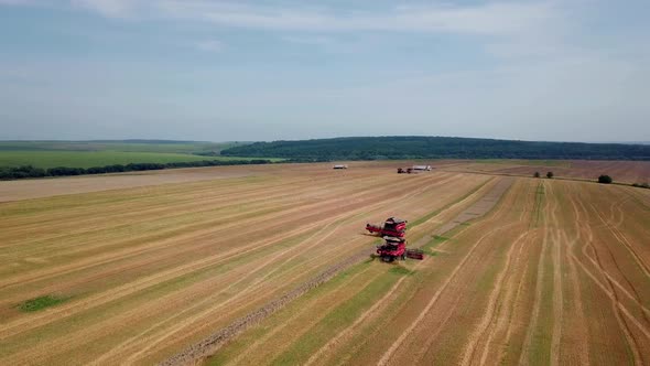 Agricultural machinery for harvesting grain in action. Wheat harvest. Aerial view.