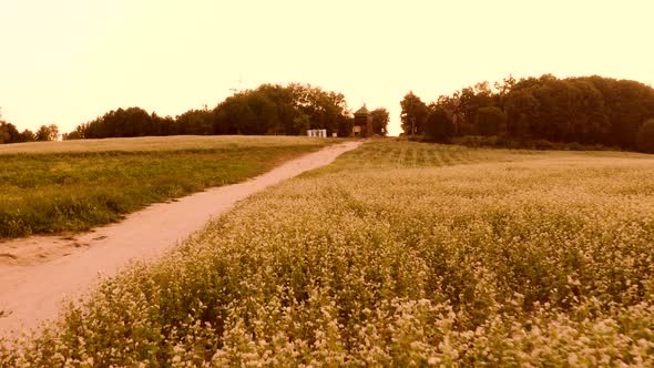 Moving Along Countryside Trail and Over Wild Flowers Field