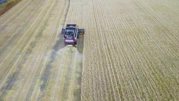 Aerial View on the Combines and Tractors Working on the Large Wheat Field