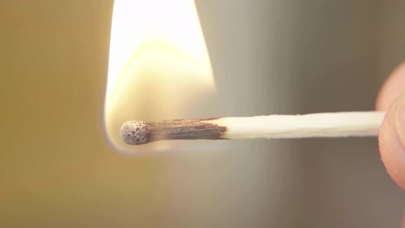 Burning Match Fire. Close-up. Macro.