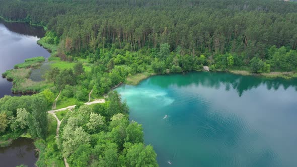 Aerial View Lake Shore Forest Shore