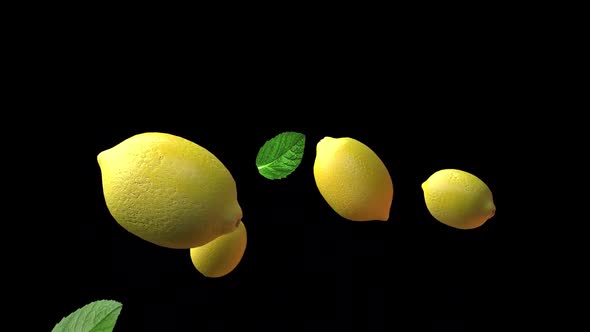 Lemon Fruit