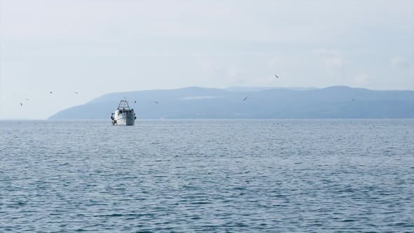 White Fishing Boat On Sea With Seagulls Flying At Background