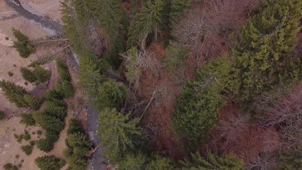 Aerial View Of The Mountain Stream