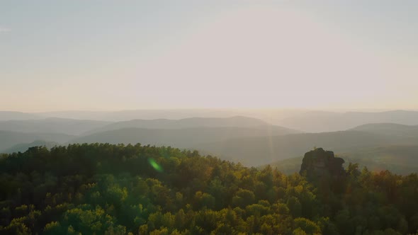 Beautiful sunset in the forest