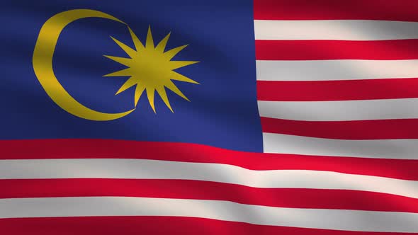 Malaysia Windy Flag Background 4K