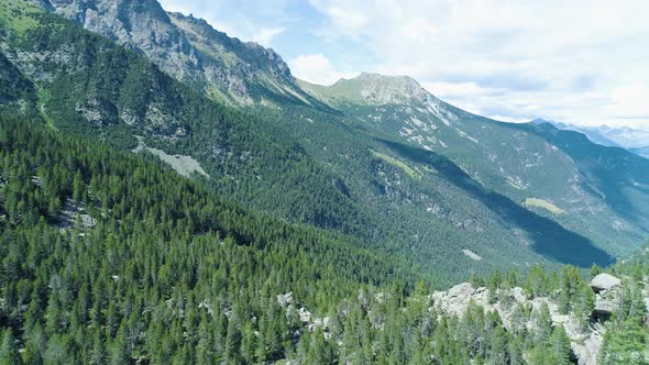 Moving Backward Away From Clear Blue Lake and Pine Woods Forest Mountain Valley in Summer