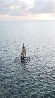 Boat Boats in the Ocean Near the Coast of Zanzibar Tanzania Slow Motion Vertical Video