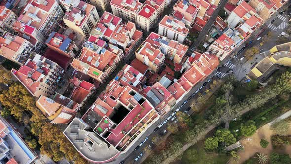 Aerial drone view of Barcelona city at daylight. Montjuic district. Spain