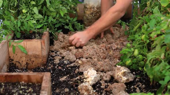 Growing Mushrooms Procedures and Materials