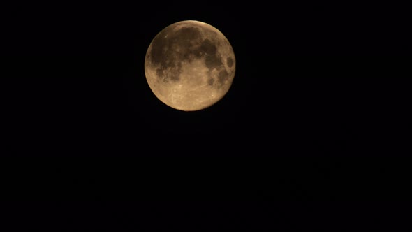 A full moon in black background - close up