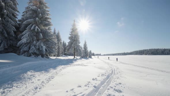 Crosscountry Skiers Walk Down a Trail in a Snowcovered Landscape on a Sunny Day