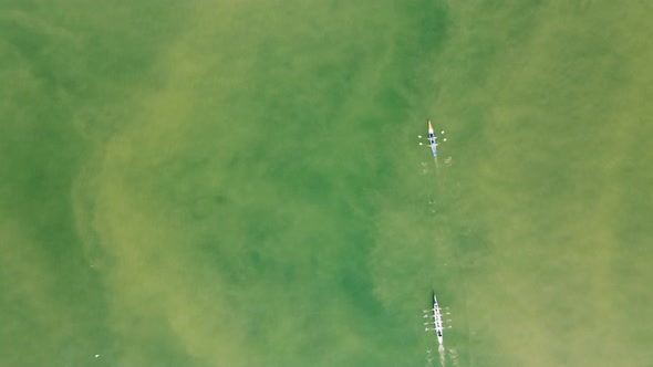 rowers aerial view in golden horn