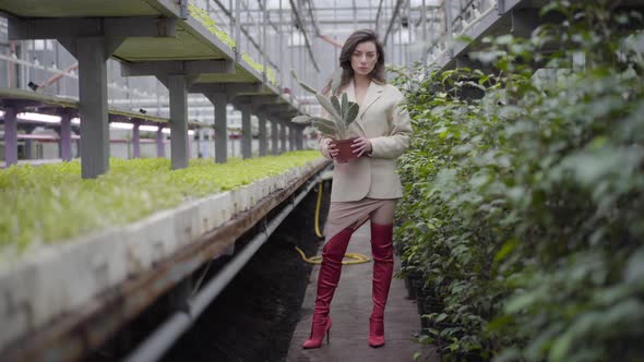 Beautiful Caucasian Brunette Woman in Red Thigh High Boots Standing in Glasshouse with Cactus in Pot