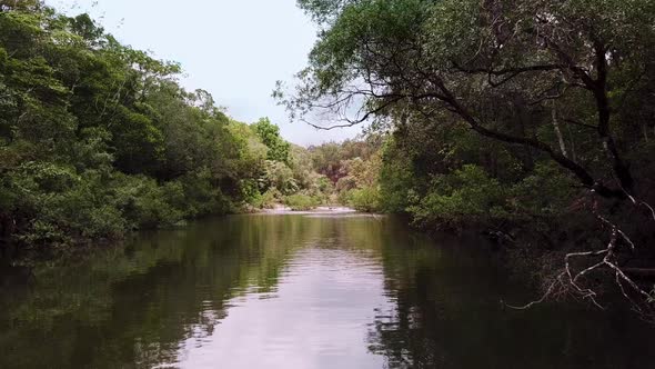 Drone flys underneath overhanging trees while following a creek.