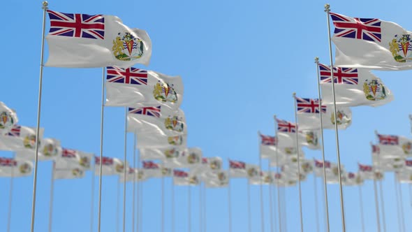 British Antarctic Territory Row Of National flags Walk Throw Animation