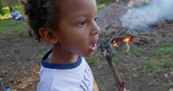 A young boy eats a roasted marshmallow from a stick that has been cooked on a backyard camp fire.