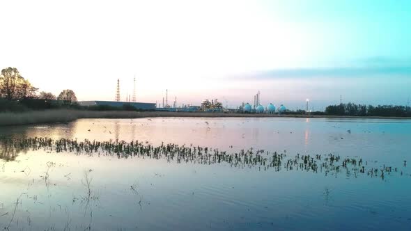 Early morning at an Antwerp bird watching lake. Left to right tracking shot Drone aerial.