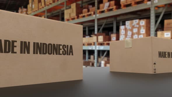 Boxes with MADE IN INDONESIA Text on Conveyor