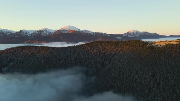Aerial view of vibrant sunrise over Carpathian mountain hills covered with evergreen spruce