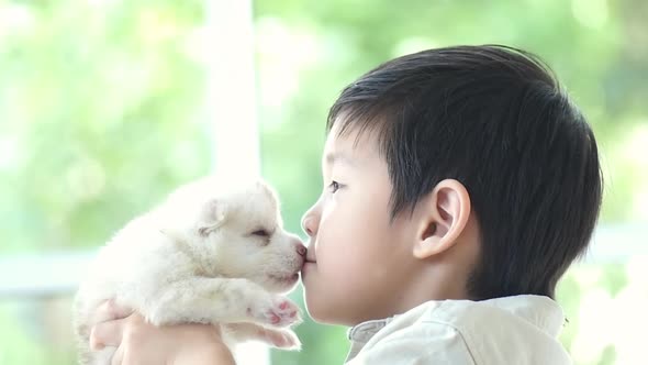 Cute Asian Child Kissing Siberian Husky Puppy  