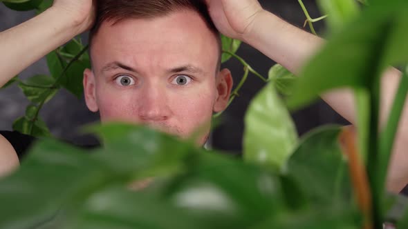 Guy Appears From Behind Large Leaves Holding Plant on Head