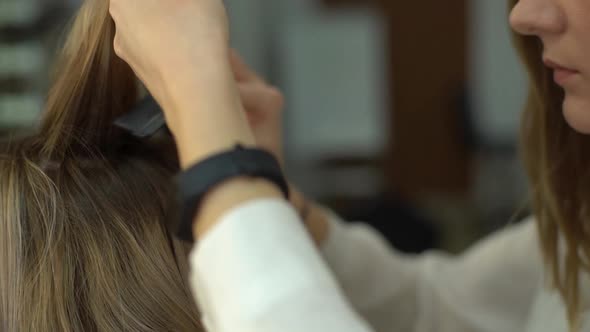 Closeup of Female Hairdresser Brushing Hair of Young Woman with Comb