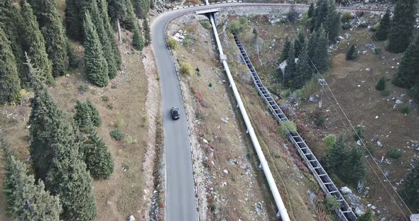 The Car Is Driving on a Road in the Forest