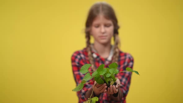 Rack Focus From Green Wet Plant in Female Adolescent Hands to Concentrated Caucasian Teenage Girl at