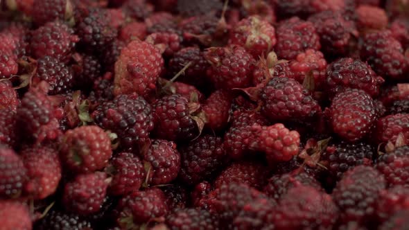 closeup of fresh blackberrys dark background