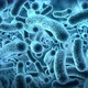 Bacteria - VideoHive Item for Sale