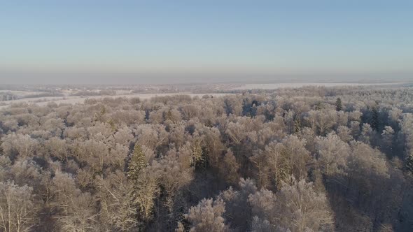 Winter Landscape in Countryside