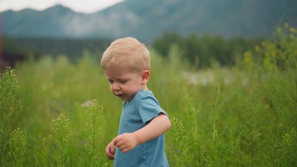 Toddler Boy Plays with High Green Grass Walking in Field