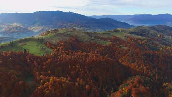 Aerial Shot Mountain Forest