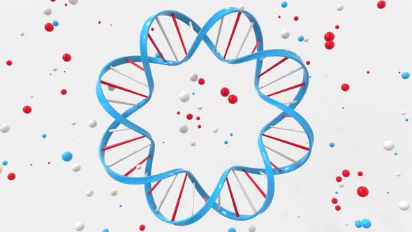 Circular DNA Double Helix