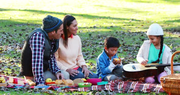 Family having picnic in the park