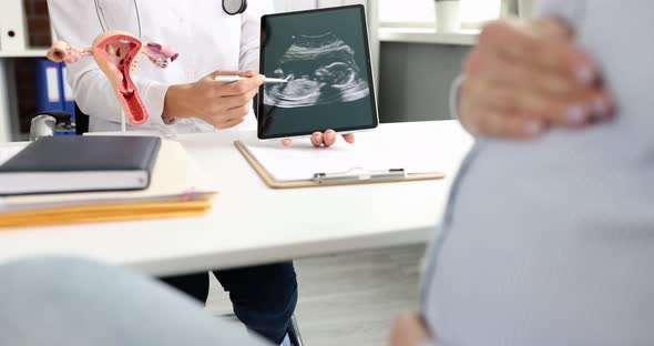 Gynecologist Shows Results of Ultrasound Scan of Child to Pregnant Woman at Medical Appointment