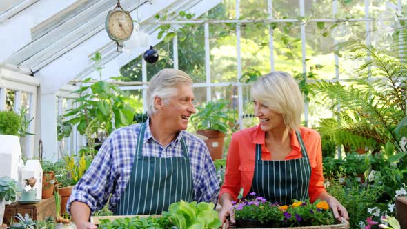 Portrait of mature couple holding pot plant