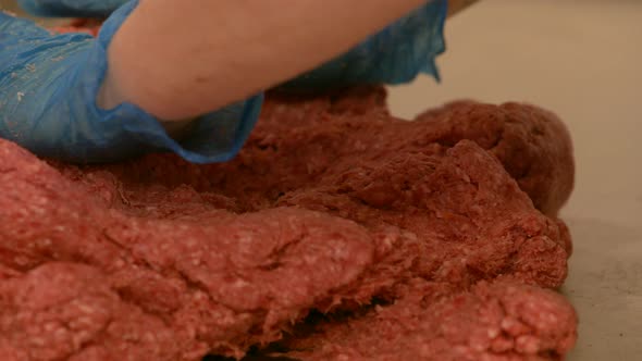 Close up of raw beef mince prep for handmade burgers with hygiene safe food gloves