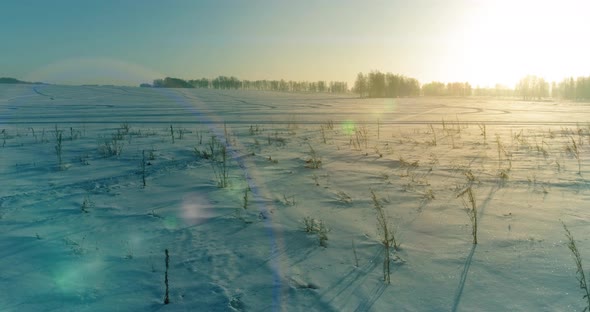 Aerial Drone View of Cold Winter Landscape with Arctic Field Trees Covered with Frost Snow and