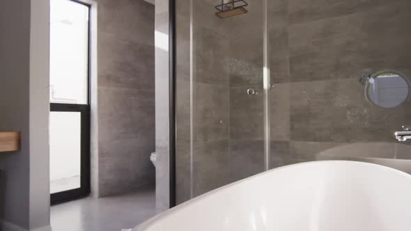 General view of luxury bathroom with shower and bathtub