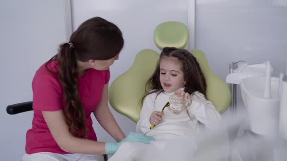 The Girl Training Right Brushing Teeth Using Toothbrush and Jaw Model at Dentist