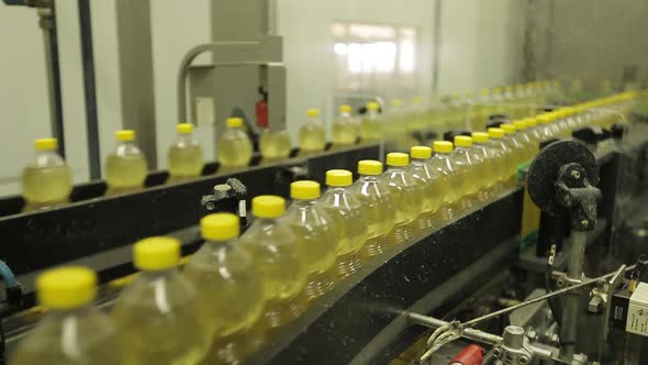 Soybean oil production and packaging process for human consumption. Industrial production in Brazil.