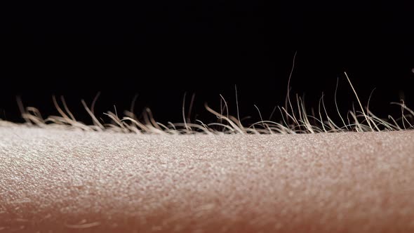 Hand Surface with Hair Closeup