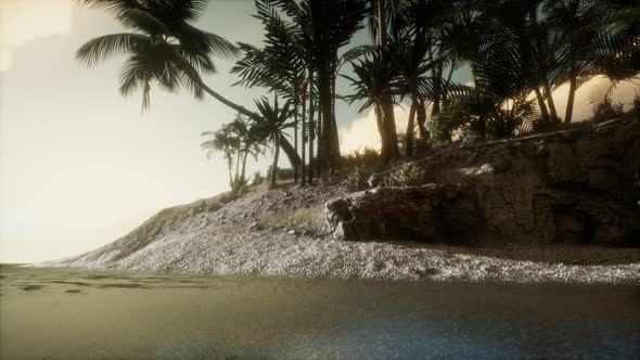 Soft Twilight of the Amazing Tropical Marine Beach alt