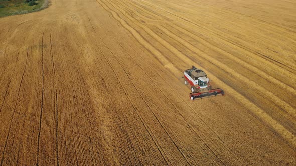 Aerial View of Modern Combine Harvesting Wheat on the Field. Flying Directly Above Combine. Top View