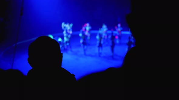 Silhouettes of Spectators in a Circus Watching a Show in the Circus Arena